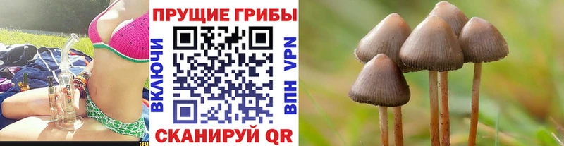 Псилоцибиновые грибы прущие грибы  купить  цена  Бологое 