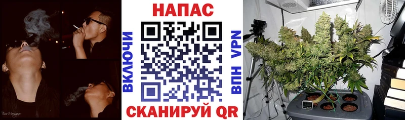 Конопля SATIVA & INDICA Бологое